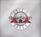 Guns N' Roses : Greatest Hits (CD, Comp)