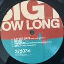 Big Red Machine (2) : How Long Do You Think It's Gonna Last? (2xLP, Album)