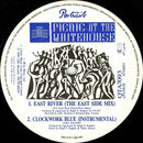 Picnic At The Whitehouse : East River (12")
