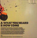 The Checks : What You Heard (7", Single, RE)