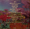 The Allergies : Promised Land (LP, Album, Pin)