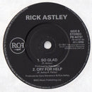 Rick Astley : Never Knew Love (7", Single)