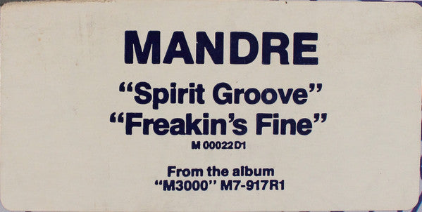 Mandré : Spirit Groove / Freakin's Fine (12")