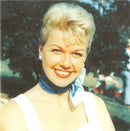 Doris Day : Daydreaming: The Very Best Of Doris Day (CD, Comp)