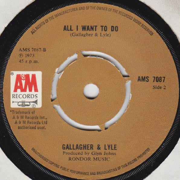 Gallagher & Lyle : Shine A Light (7")