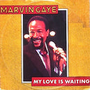 Marvin Gaye : My Love Is Waiting (12", Single)