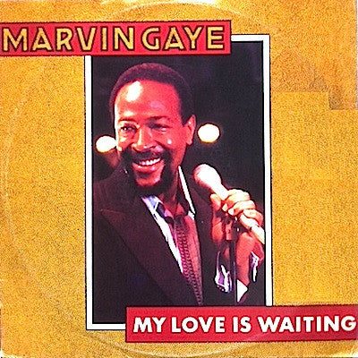 Marvin Gaye : My Love Is Waiting (12", Single)