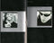 Lighthouse Family : Postcards From Heaven (Cass, Album)