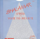 Shalamar : Amnesia (7", Single)