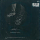 Pink Floyd : Learning To Fly / Terminal Frost (7", Single)