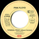 Pink Floyd : Learning To Fly / Terminal Frost (7", Single)