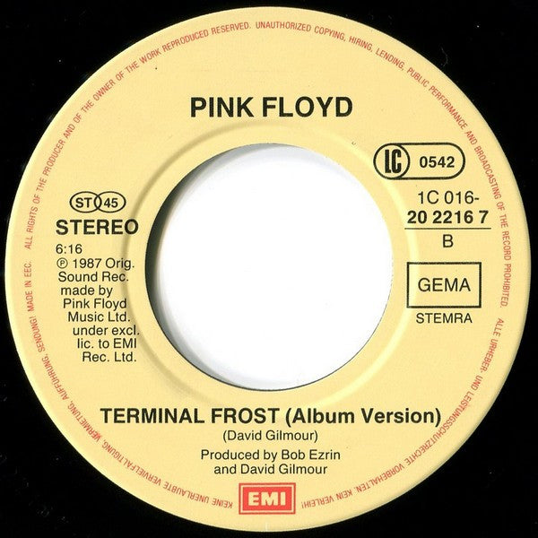Pink Floyd : Learning To Fly / Terminal Frost (7", Single)