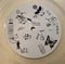 Penelope Isles : Which Way To Happy (LP, Album, Whi)