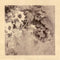 The Reds, Pinks & Purples* : Summer At Land's End (LP, Album, Ltd, Gre)