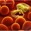 Wishplants : Coma (CD, Album)