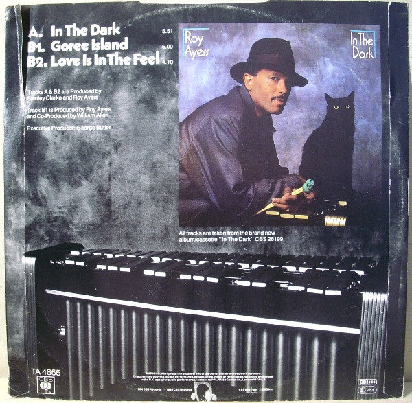 Roy Ayers : In The Dark (12", Single)