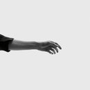 Keeley Forsyth : Limbs (LP, Album)