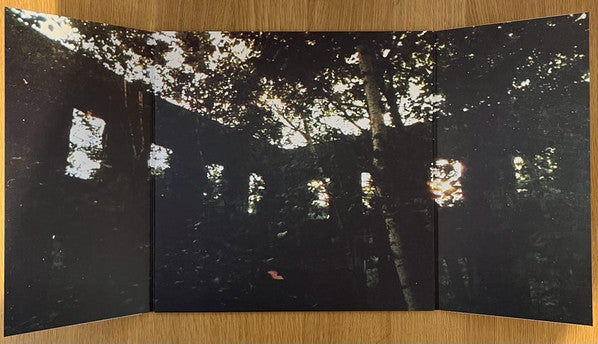 Pinegrove : 11:11 (LP, Album, Dlx, Ltd, Red)