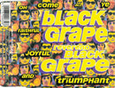 Black Grape : Reverend Black Grape (CD, Single)