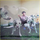 Rex Orange County : Who Cares? (LP, Album, Ltd, Len)