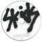 Skids : Into The Valley: The Best Of The Skids (CD, Comp, RE)