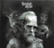Desolate Shrine : Fires Of The Dying World (CD, Album)