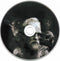 Desolate Shrine : Fires Of The Dying World (CD, Album)