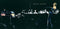 Roxy Music : For Your Pleasure (LP, Album, RE, RM, Hal)