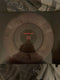 The Rentals : The Midnight Society (LP, Album, RSD, Ltd, Num, Cle)