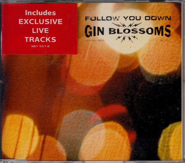 Gin Blossoms : Follow You Down (CD, Single)
