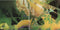 Greenslade : Greenslade (CD, Album, RE)