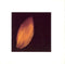Peter Gabriel : Shaking The Tree: Sixteen Golden Greats (CD, Comp, RE)