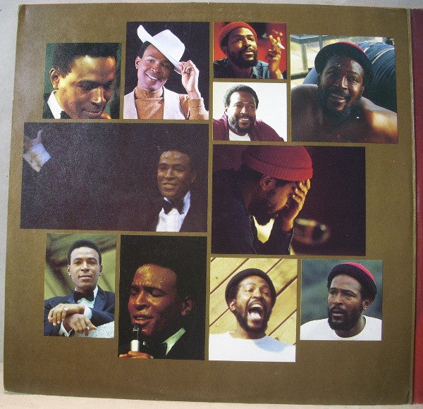 Marvin Gaye : Anthology (2xLP, Comp)