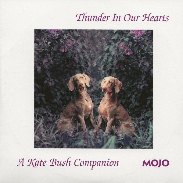 Various : Thunder In Our Hearts (A Kate Bush Companion) (CD, Comp)