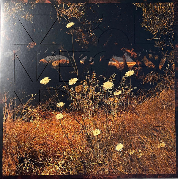 Szun Waves : Earth Patterns (LP, Album)