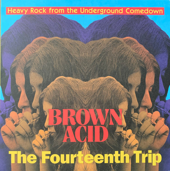 Various : Brown Acid: The Fourteenth Trip (Heavy Rock From The Underground Comedown) (LP, Comp)