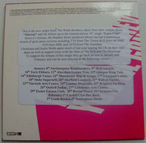 The Webb Brothers : I Can't Believe You're Gone (CD, Single, Promo)