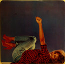 Tina Turner : Private Dancer (LP, Album)
