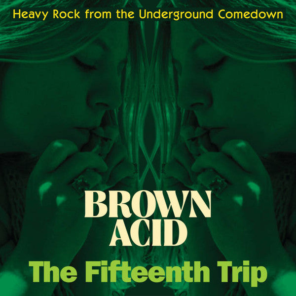 Various : Brown Acid: The Fifteenth Trip (Heavy Rock From The American Comedown Era) (LP, Comp)