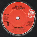 Sam Brown : Can I Get A Witness? (7", Single, Pos)
