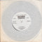 The Unpleasant Goblins : In The Moog (7")
