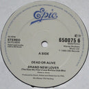 Dead Or Alive : Brand New Lover (12")