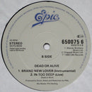 Dead Or Alive : Brand New Lover (12")