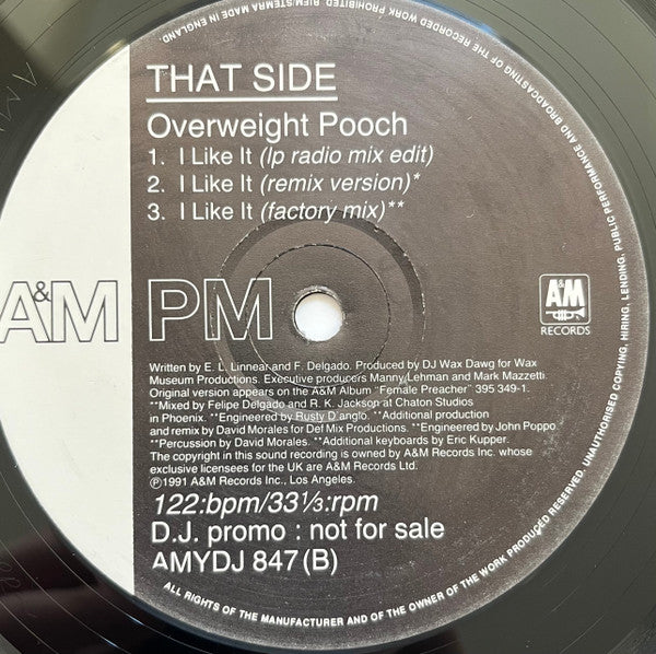 Overweight Pooch Featuring Ce Ce Peniston : I Like It (12", Promo)