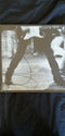 The Del Fuegos : Stand Up (LP, Album)