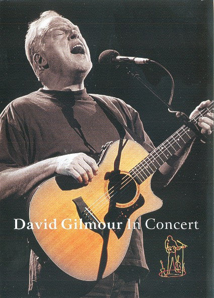 David Gilmour : In Concert (DVD-V, Multichannel, PAL, Dol)