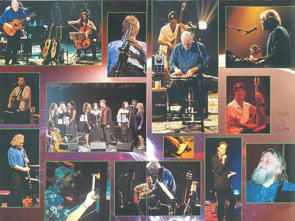 David Gilmour : David Gilmour In Concert (DVD-V, Multichannel, PAL, Dol)