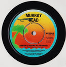 Murray Head : Someone's Rocking My Dreamboat (7")