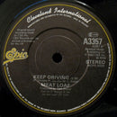 Meat Loaf : If You Really Want To (7", Single)