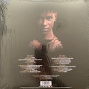 Various : Black Panther: Wakanda Forever - Music From And Inspired By (2xLP, Comp)